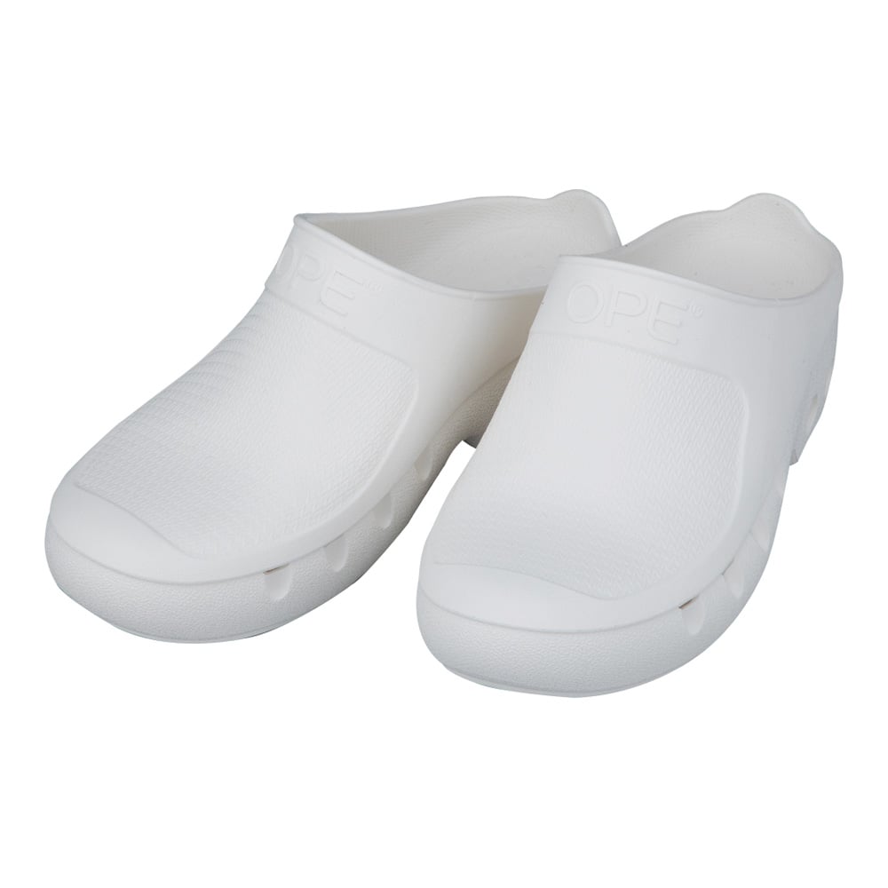 【SS制限事項 38万商いもの以上10%OFF】 ESDサンダル（オートクレーブ相応う）L（24.5～25.5糎） 1足