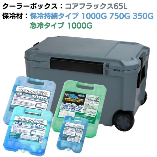 【SS制限事項 38万商いもの以上10%OFF】 ＪＥＪアステージ 冷房装置ボックス席 コアフラックス ６５Ｌ＆保冷剤４個無料差し上げ物社会的運動【２５年５月７日～７月３１日まで】 1Ｓ