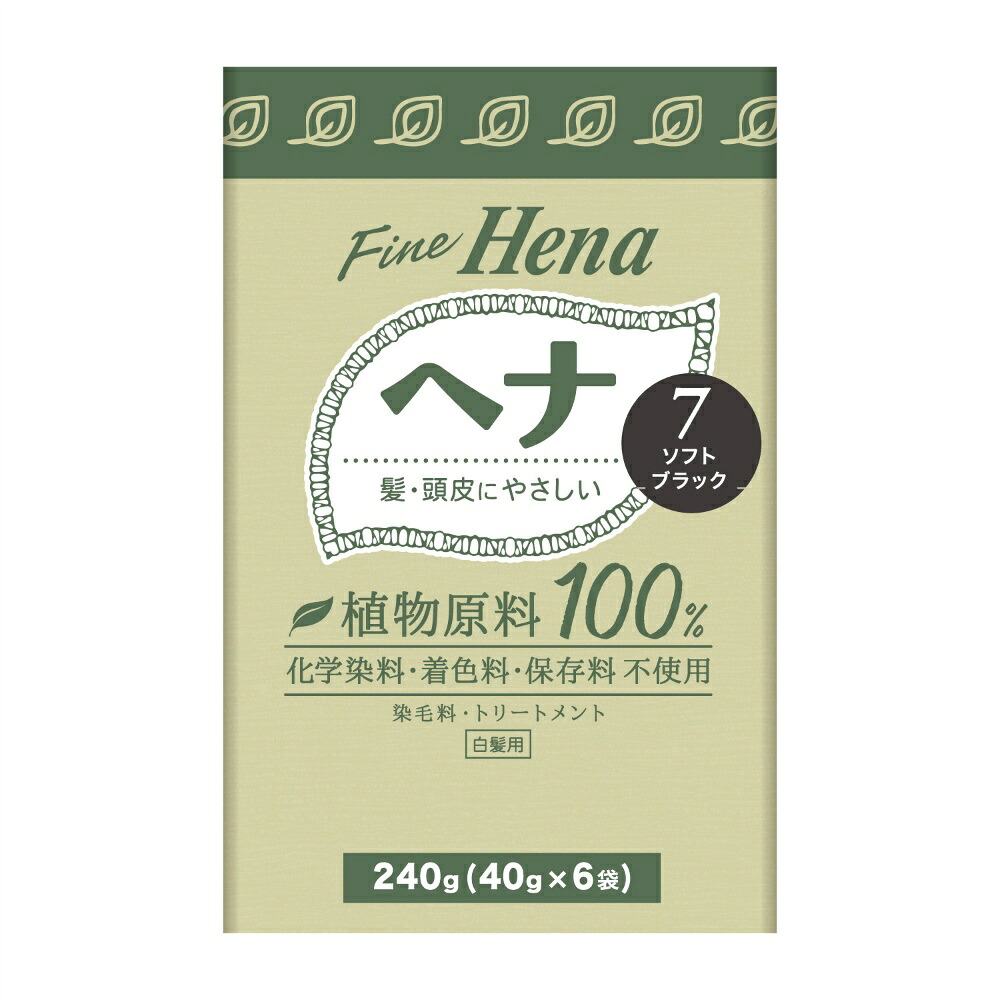 【期間限定!対象商品P2～20倍】 テンスター　ファインヘナ６Ｐ　ソフトブラック　４０ｇ×６ × 36点