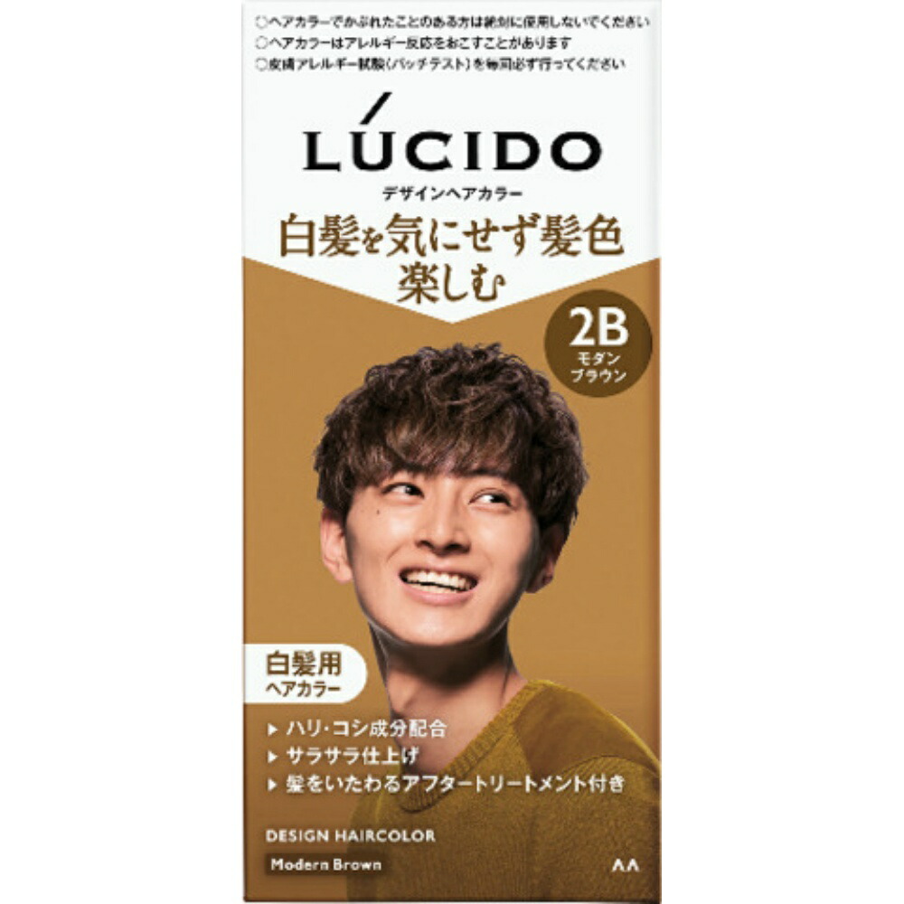 【期間限定!対象商品P2～20倍】 ルシード　デザインヘアカラー　モダンブラウン　（医薬部外品） × 36点