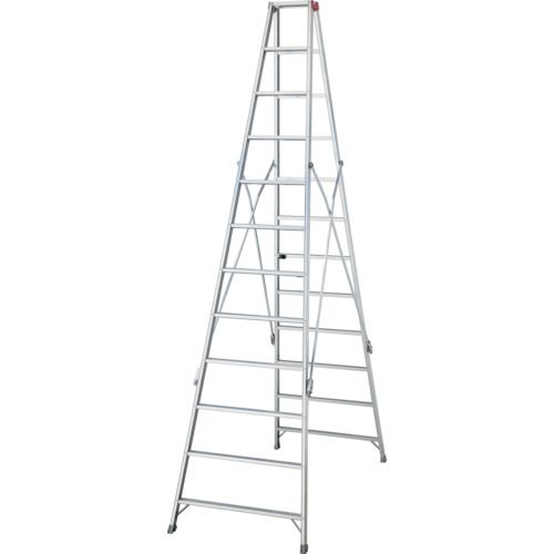 【SS制限事項 38万商いもの以上10%OFF】 ハセガワ か細い長尺専用脚立ＲＬ １２段 １１１０９ 1台