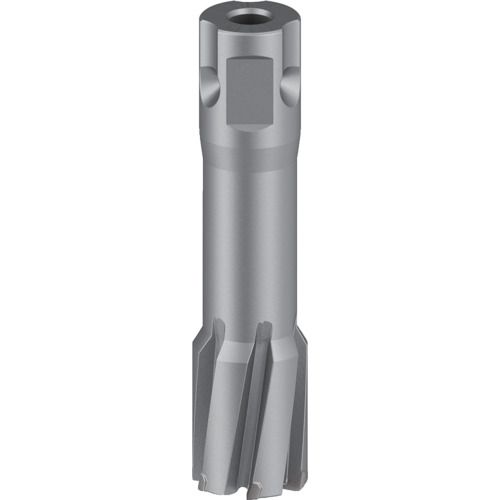 【SS制限事項 38万商いもの以上10%OFF】 ボッシュ 磁気ボール盤用超硬裁断師 ２２×５０粍 1本