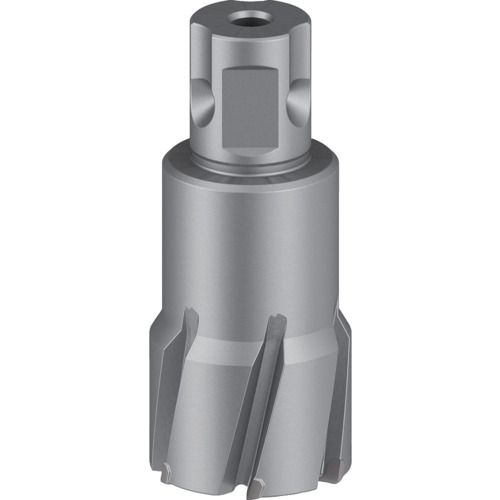 【SS制限事項 38万商いもの以上10%OFF】 ボッシュ 磁気ボール盤用超硬切断機 ３２×３５粍 1本