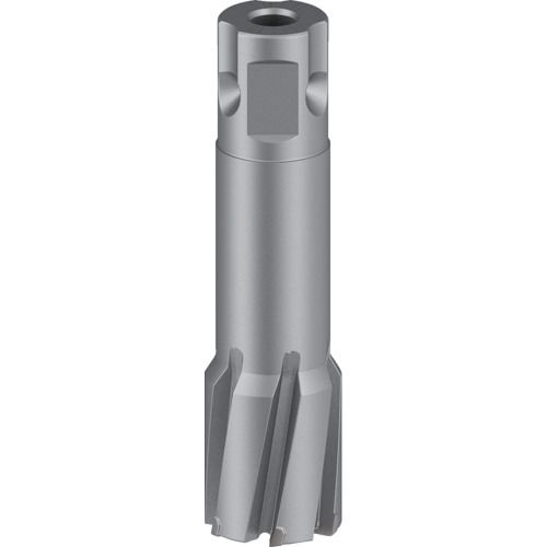 【SS制限事項 38万商いもの以上10%OFF】 ボッシュ 磁気ボール盤用超硬裁断師 ２４×５０粍 1本