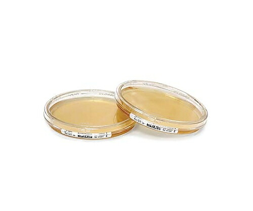 【SS制限事項 38万商いもの以上10%OFF】 TSA+LT90粍-ICR+146684120PACK 1.46684.01201個