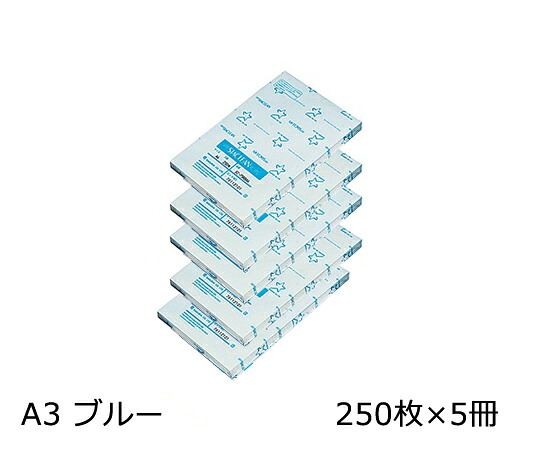 【期間限定!対象商品P2～20倍】 ｽﾀｸﾘﾝ ﾌﾞﾙｰ A3 1ｹｰｽ(5冊入) SC75RBA3 1ｹｰｽ(250枚×5冊入)