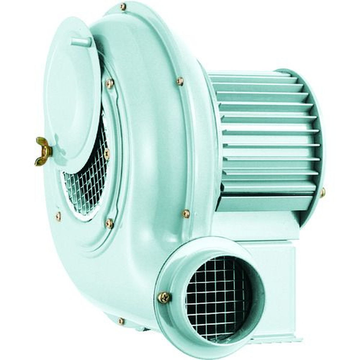 【期間限定!対象商品P2～20倍】 昭和　電動送風機　汎用シリーズ（０．０４ｋＷ）　1台 (SB151)
