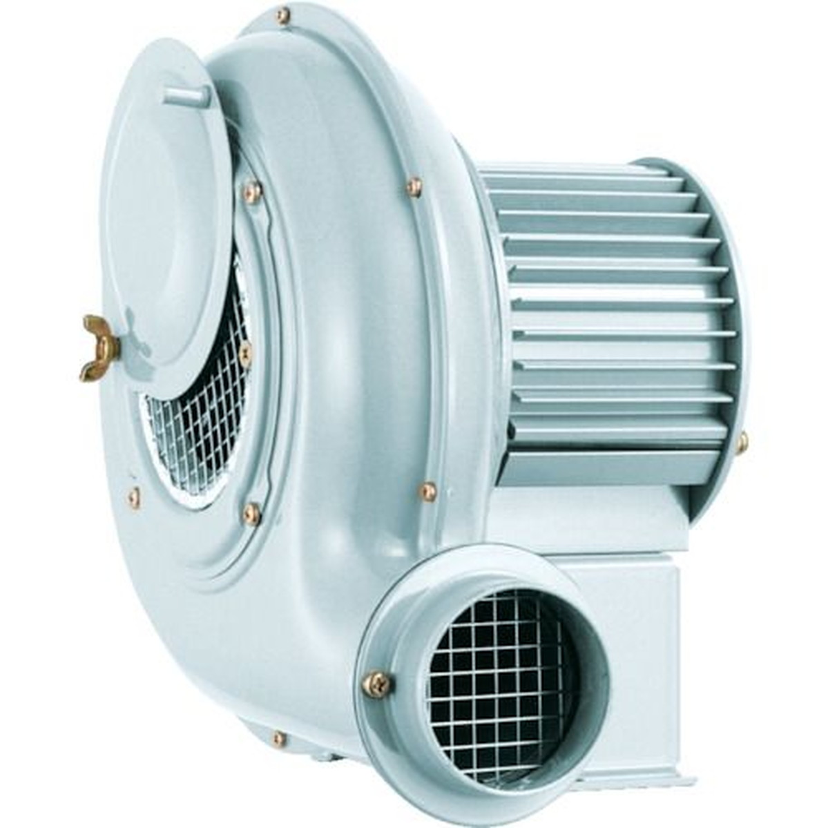 【期間限定!対象商品P2～20倍】 昭和　電動送風機　汎用シリーズ（０．０４ｋＷ）　1台 (SB202)