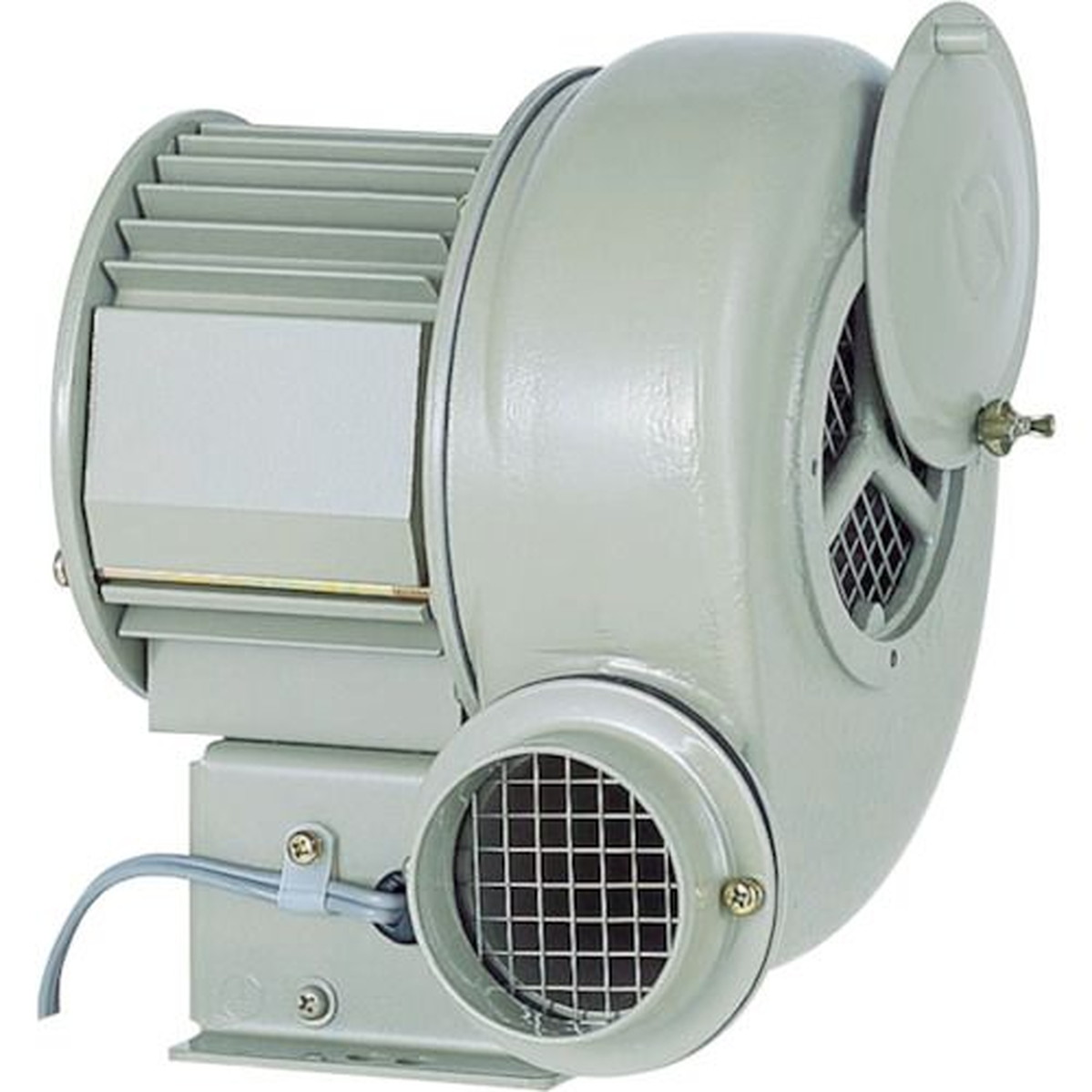 【SS押さえる 38万商いもの以上10%OFF】 昭和 電動送風機 汎用続きもの（０．２５ｋＷ） 1台 (SB75)