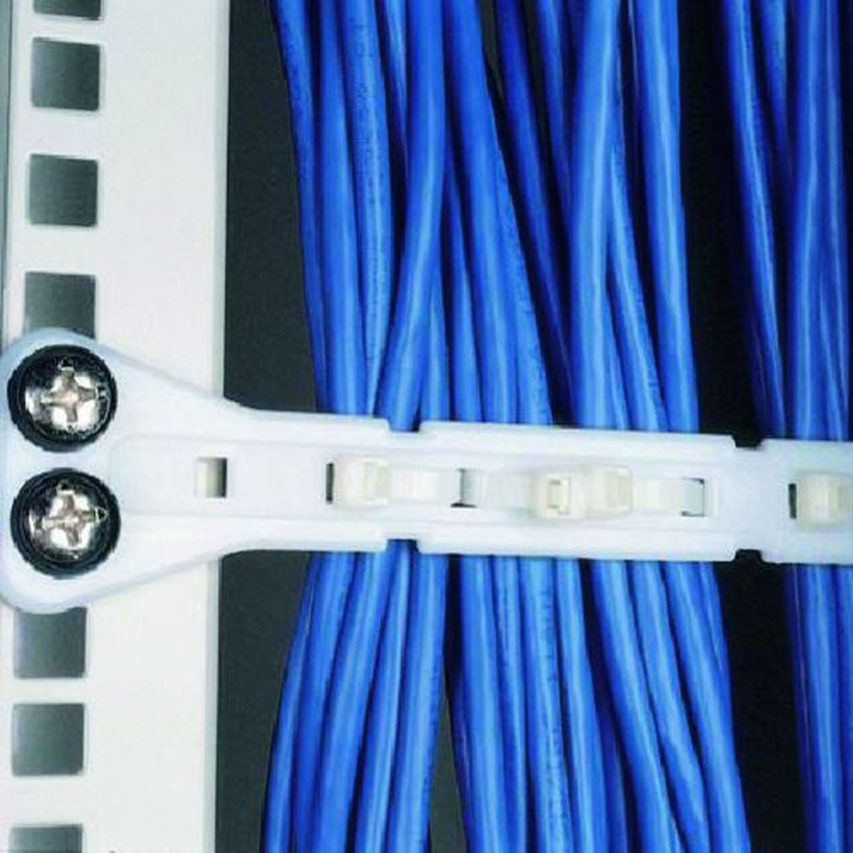 【期間限定!対象商品P2～20倍】 ＰＡＮＤＵＩＴ　水平型ケーブル固定具　難燃性白　５個入　10袋 (PPF2SS25V69)