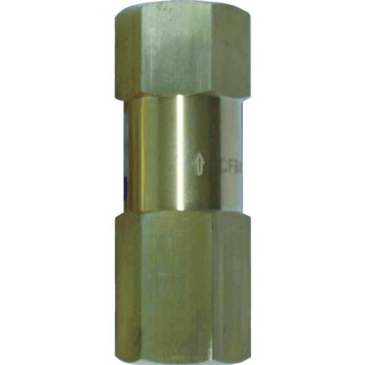 【期間限定!対象商品P2～20倍】 日本精器　高圧ラインチェック弁　２５Ａ　1個 (BN9L21H25CFBV)
