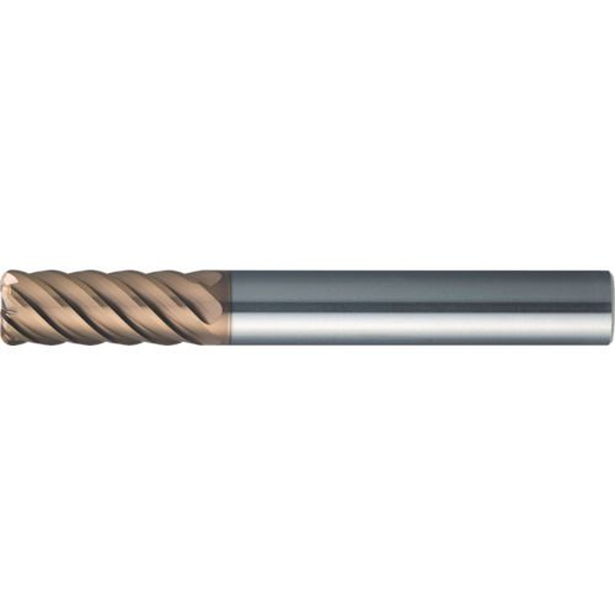 【SS制限事項 38万商いもの以上10%OFF】 ＭＯＬＤＩＮＯ 世紀ＴＨ捉え所の無い 隅っこＲ仕合わせ ＣＥＰＲ６１６０－１０－ＴＨ 1本 (CEPR616010TH)