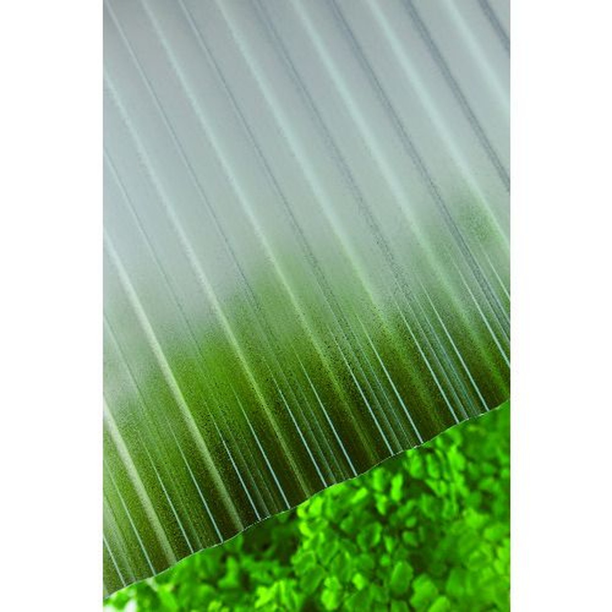 楽天市場】タキロン ポリカ波板熱線カット 32波 6尺 4850ブロンズ