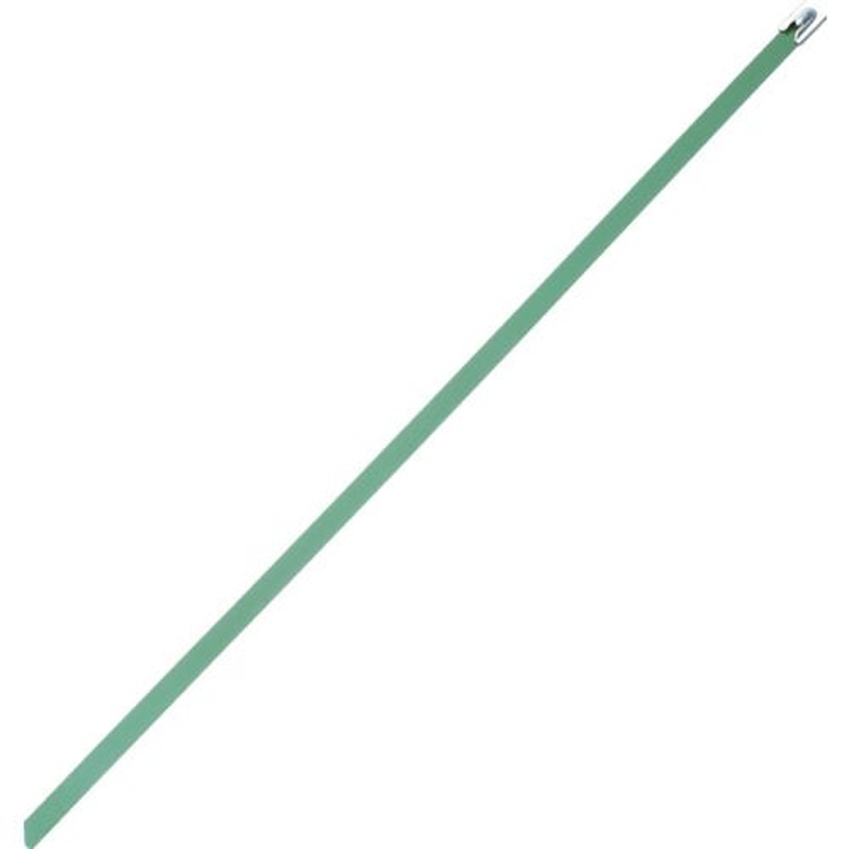 【SS押さえる 38万商いもの以上10%OFF】 ＰＡＮＤＵＩＴ 【売切廃番】ＭＬＴ印字機 フルコーティングステンレススチールバンド ＳＵＳ３１６ 緑 幅８．１粍 長さ５２１粍 ５０本入り口・入口 ＭＬＴＦＣ６Ｈ－LP盤３１６ＧＲ 1袋 (MLTFC6HLP316GR)