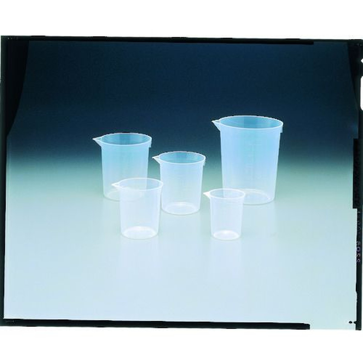 【SS制限事項 38万商いもの以上10%OFF】 サンプラ 優勝杯１００竓 （１箱入） 1Ｃｓ (01660C)