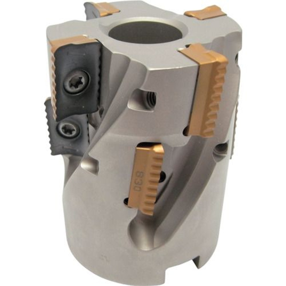 【継続期間押さえる!客体商いものP2～20倍】 イスカル シュレッドミルＰ２９０ 堅甲粉砕機 Ｐ２９０ ＳＭ 刃径４０粍 シャンク径２２粍 1個 (P290SMD04004482212)