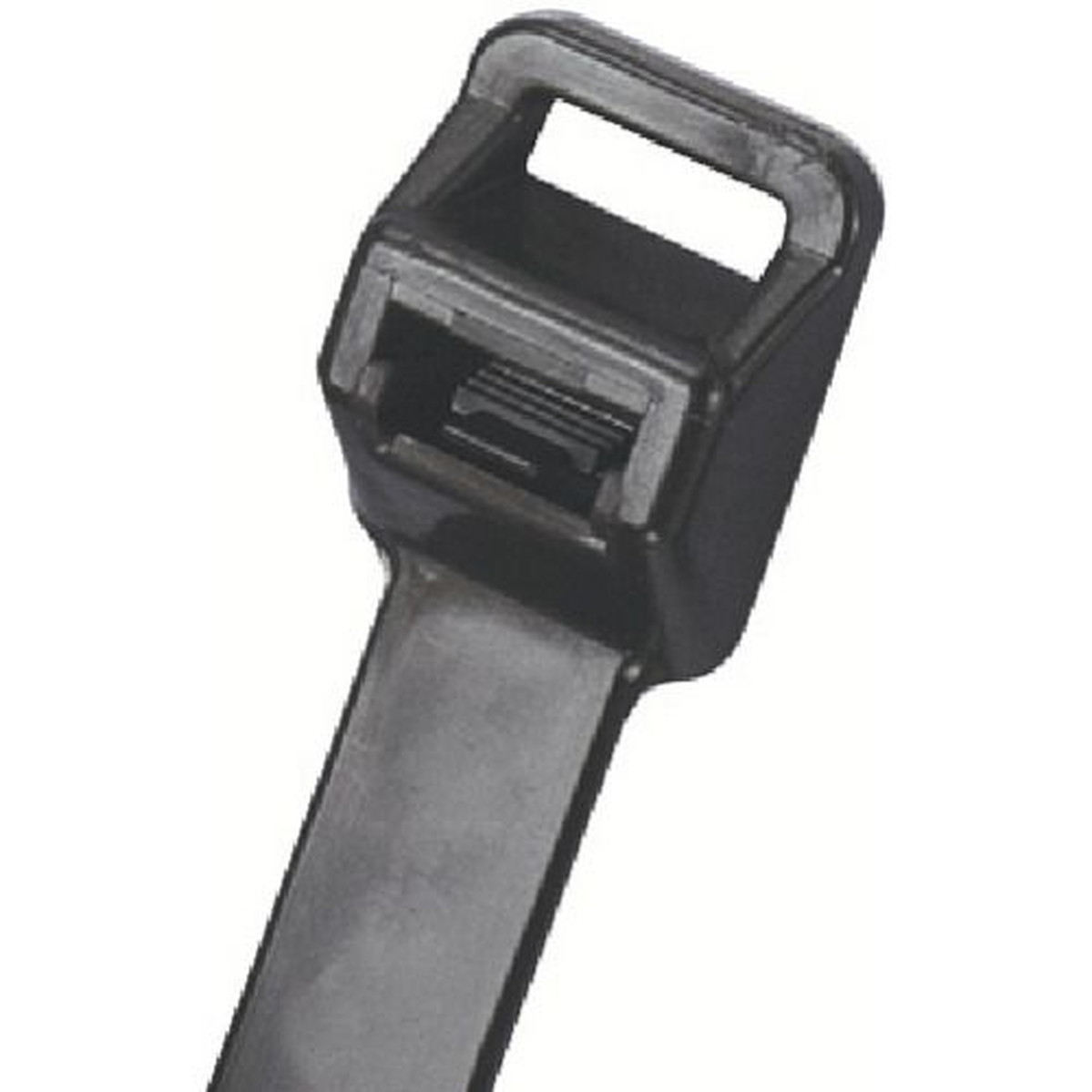 【SS制限事項 38万商いもの以上10%OFF】 ＰＡＮＤＵＩＴ 上木引き分け 取りはらい能力のあるナイロン一緒になるダンス楽隊 ポリプロピレン 1袋 (PRT2EHC100)
