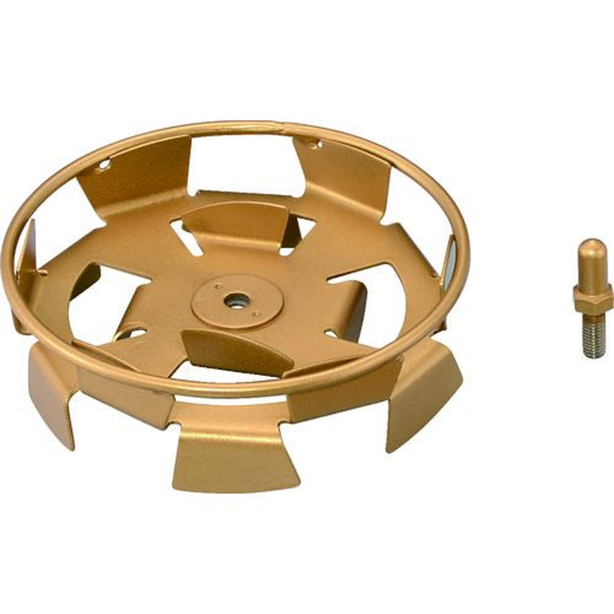 【SS押さえる 38万商いもの以上10%OFF】 ＲＹＯＢＩ 輪っか付ダブル螺子釘（フッ素厚地の外套）１５０粍 ステンレス鋼 1個 (B6078027)