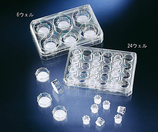 【期間限定!対象商品P2~20倍】 セルカルチャーインサート 140640 1箱(6個×4袋入)