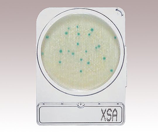【期間限定!対象商品P2～20倍】 ｺﾝﾊﾟｸﾄﾄﾞﾗｲ (黄色ﾌﾞﾄﾞｳ球菌測定用/4枚×10袋) 06729X-SA 1箱(4枚×10袋入)