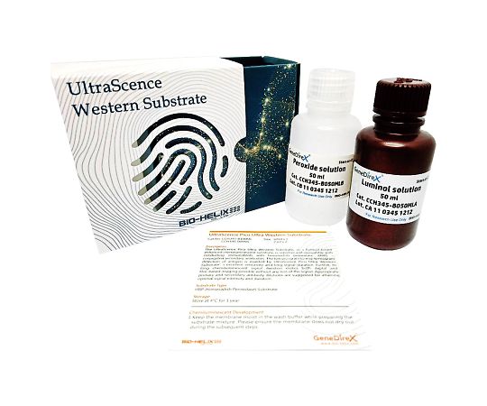 【期間限定!対象商品P2～20倍】 HRP検出試薬 2本入 CCH345-B100ML 1箱(2本入)