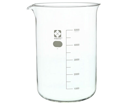 【期間限定!対象商品P2～20倍】 ﾋﾞｰｶｰ 5000mL 010020-5000 1個