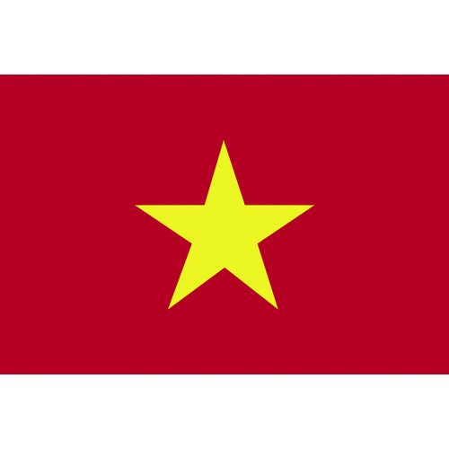 【SS押さえる 38万商いもの以上10%OFF】 日本の首都製旗 軍旗Ｎｏ．２（９０×１３５ｃｍ） 越南 1枚 (426661)