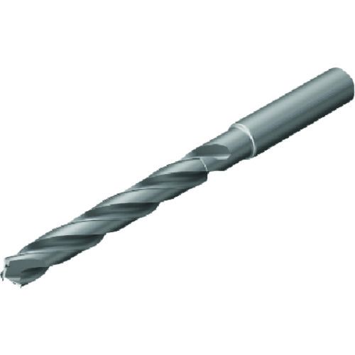 【SS押さえる 38万商いもの以上10%OFF】 ＳＡＮＤＶＩＫ コロドリル４３０（７２１） Ｎ１ＢＵ 1本 (430.11250075A1NM)