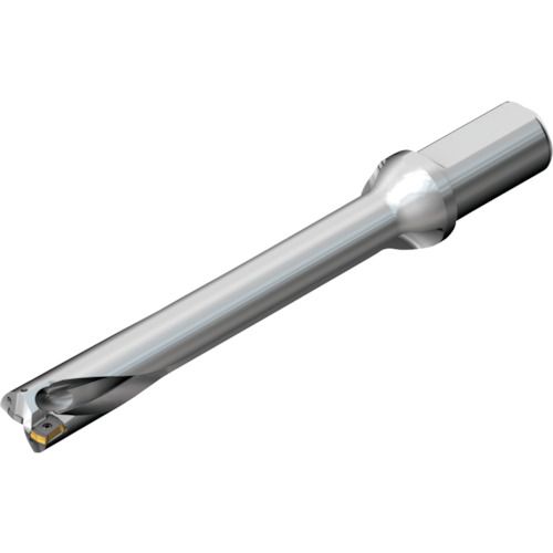 【期間限定!対象商品P2～20倍】 ＳＡＮＤＶＩＫ コロドリルＤＳ２０刃先交換式ドリル（４６５） 1本 (DS20D3600L4007)