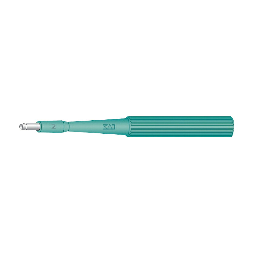 【期間限定!対象商品P2～20倍】 ＫＡＩ生検トレパン BP-20F(2.0MM)20ﾎﾝｲﾘ