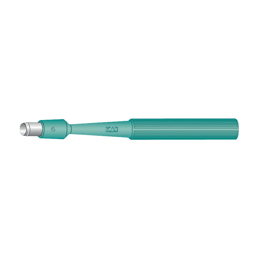 【期間限定!対象商品P2～20倍】 ＫＡＩ生検トレパン BP-60F(6.0MM)20ﾎﾝｲﾘ