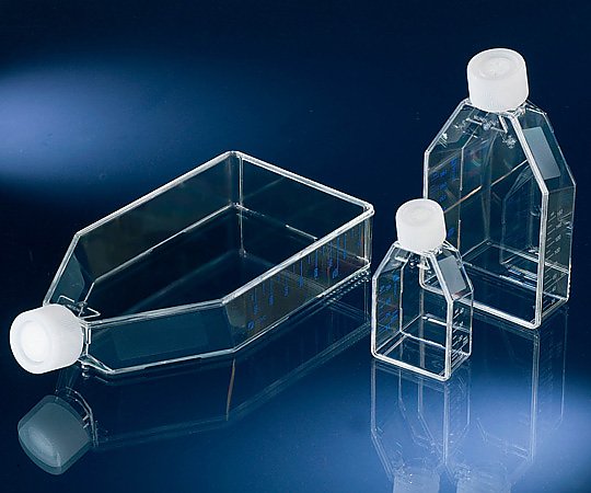 【SS押さえる 38万商いもの以上10%OFF】 ほっつき歩く独居室用瓶 169900 1箱(10個×20包入)