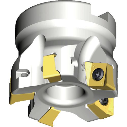 【SS押さえる 38万商いもの以上10%OFF】 ＴＥＡＧＵＴＥＣ ミーリング截断機 チェイス４圧砕機 1本 (4NTF9045022R11)