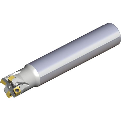【SS制限事項 38万商いもの以上10%OFF】 ＴＥＡＧＵＴＥＣ ミーリング裁断師 チェイス４圧砕機 1本 (4NTE904202004L)