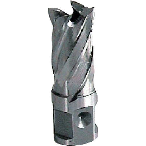【期間限定!対象商品P2～20倍】 大見　２５ＳＱハイスカッター　１２．０ｍｍ　1個 (HCSQ120)