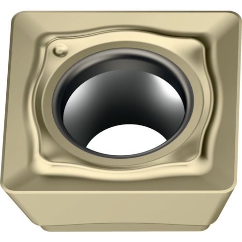 【SS押さえる 38万商いもの以上10%OFF】 Ｗａｌｔｅｒ ミーリング製作用 四角四面ポジ手当て ＷＳＰ４５Ｇ 10個 (SDMT120408F57)