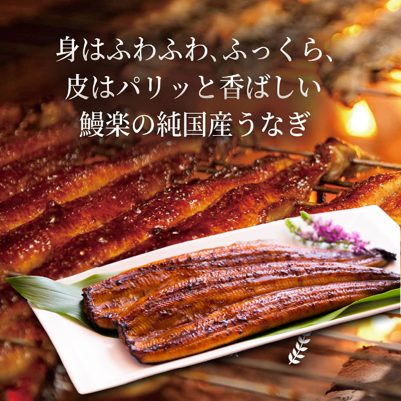 【中元ギフト】国産鰻の蒲焼きギフト140g×2尾(化粧箱入/冷凍)自宅用お取り寄せ高級うなぎ(特製たれ&山椒付き)中元ギフトお中元お中元用鰻楽