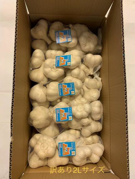 2026年新物にんにく　訳ありにんにく2Ｌサイズ10kg　青森県産ホワイト六片にんにく　国産にんにく｜東北のうまいものはこれで決まり