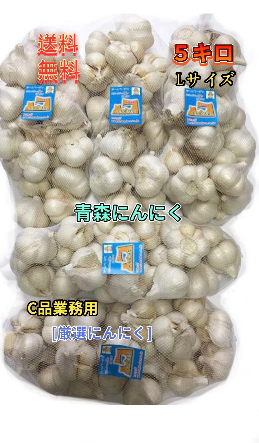 にんにく　業務用にんにくLサイズ5kg　並級C品　青森県産　「ホワイト六片種にんにく」　　国産にんにく　青森にんにく
