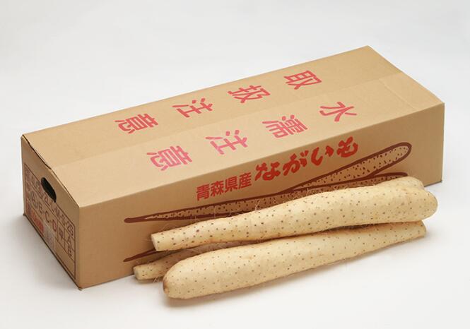 青森県産 長芋　とろろ芋　贈答用 10ｋｇ　洗浄済み　おがくず入り