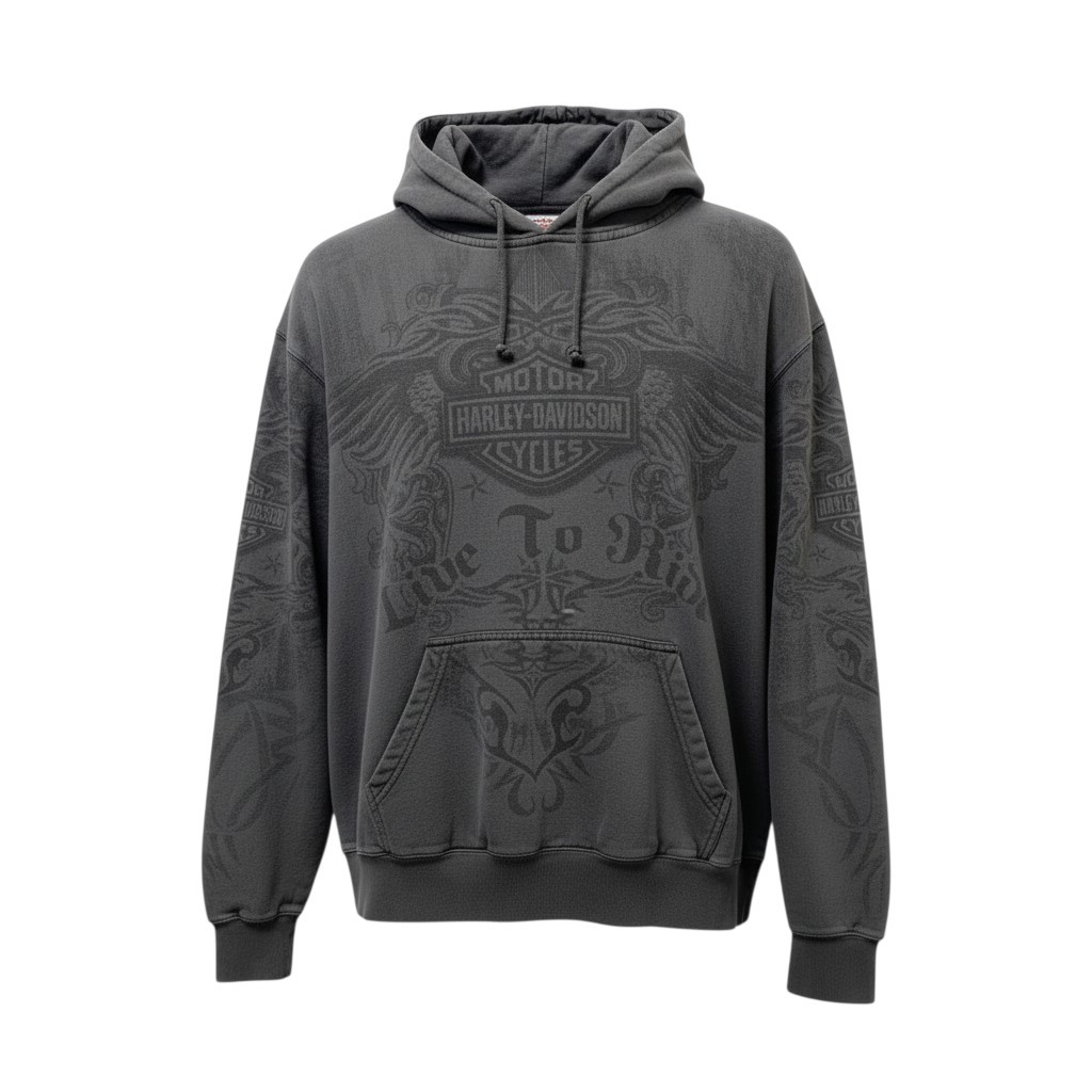 HARLEY DAVIDSON ハーレーダビッドソン 2010年 ロングスリーブプルオーバーフーディー パーカー  XL大きさ 薄墨色 メンズ 成人男性用u02t 中古