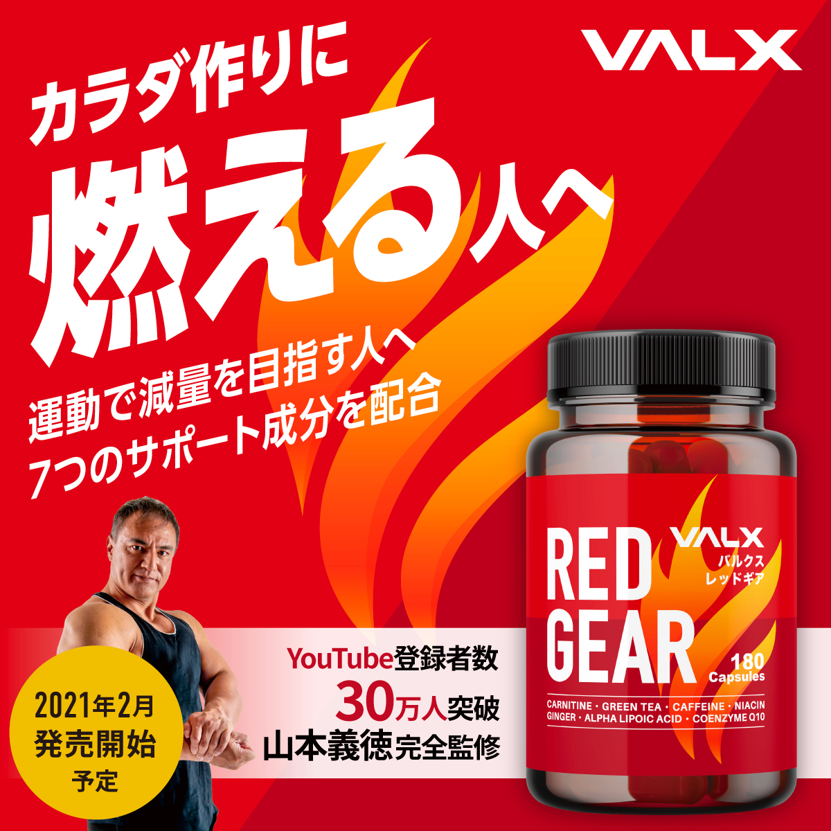 バルクス VALX レッドギア グルタミンパウダーの+bonfanti.com.br