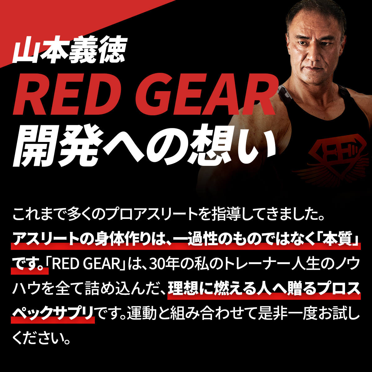 64%OFF!】 VALX REDGEARレッドギア 山本義徳 sushitai.com.mx