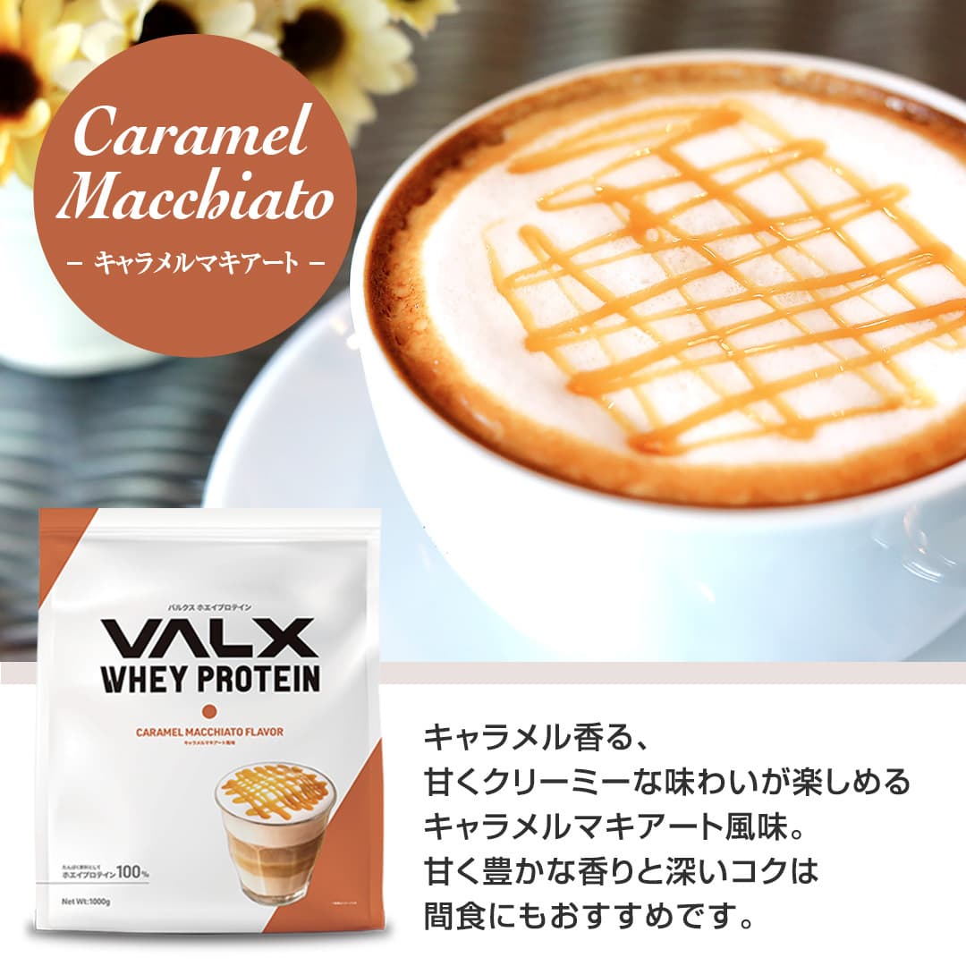 VALX ホエイプロテイン】チョコレート ベリー ヨーグルト カフェオレ