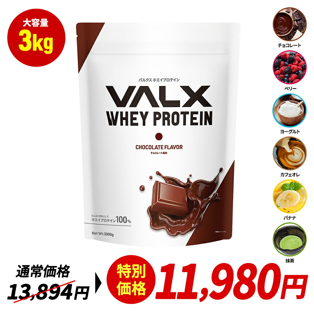 楽天市場】【VALX ホエイプロテイン】3kg 大容量 杏仁豆腐風味 国内生産 WPC 山本義徳 筋トレ ダイエット 女性 美容 送料無料 : VALX  ONLINE STORE