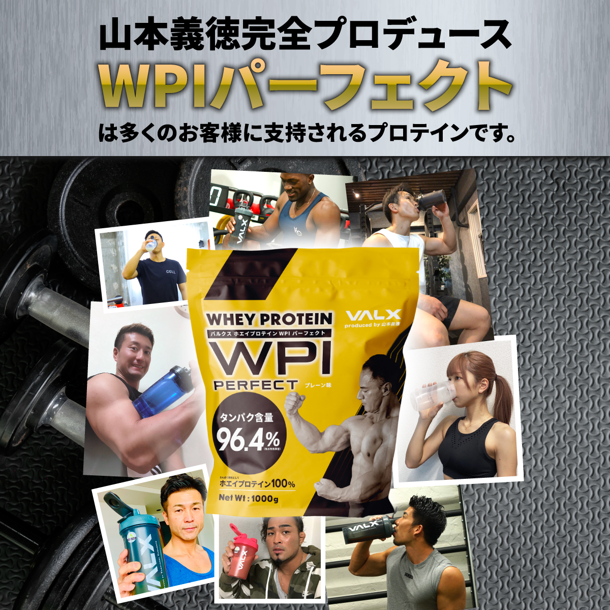 プロテイン VALX 国内生産 WPI 山本義徳 タンパク含有 96.4% ホエイ