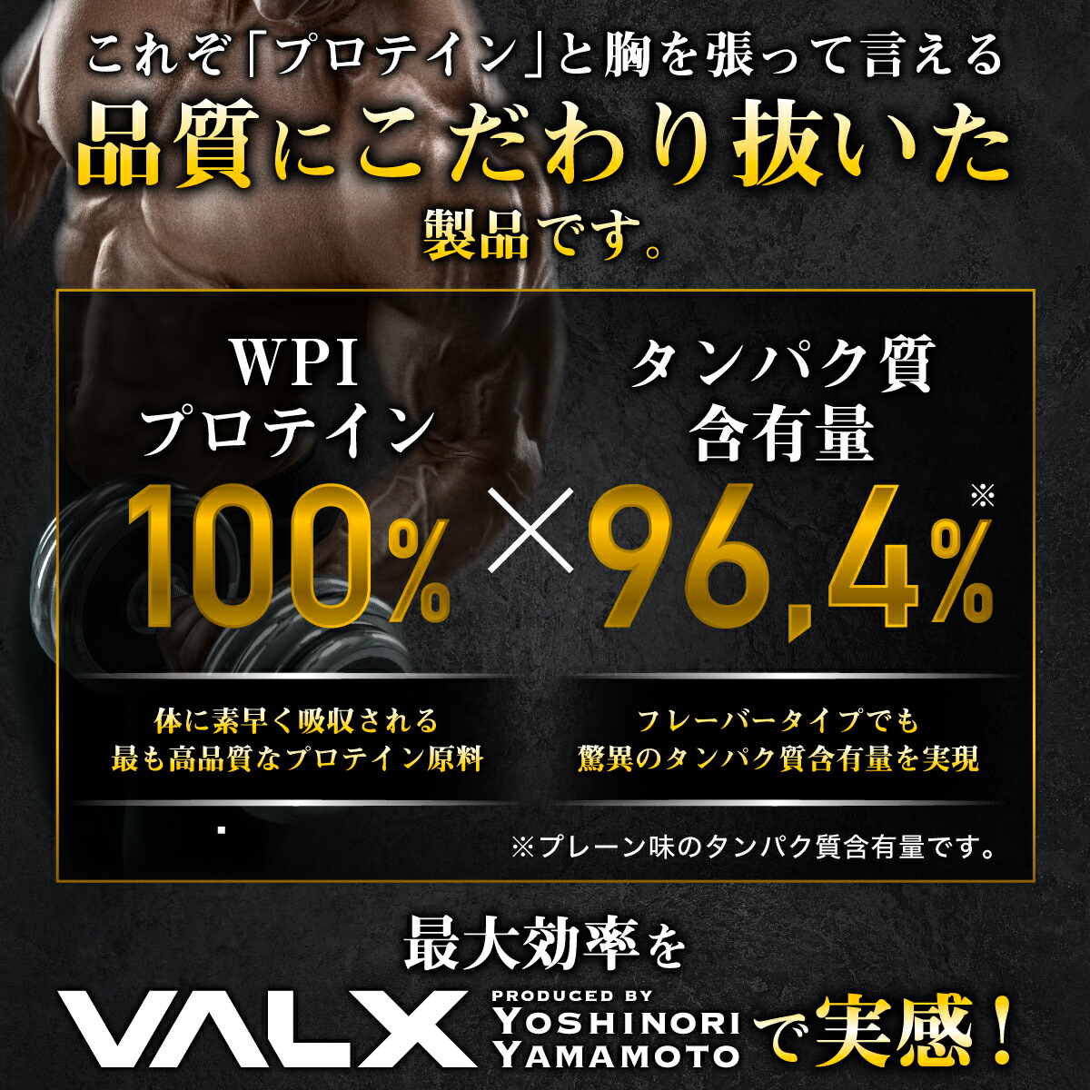 プロテイン VALX 国内生産 WPI 山本義徳 タンパク含有 96.4% ホエイ