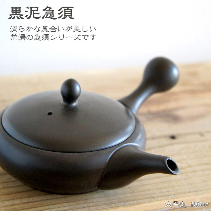 楽天市場】かもしか道具店 急須・煎茶碗 セット 茶器 4点セット 日本製