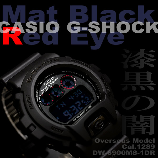 dw 6900 ms