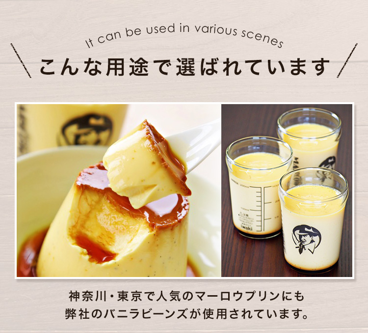 バニラビーンズ 香り Vanillin マダガスカル比 製菓・製パン材料